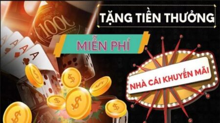 Tại Queen79, các loại thưởng đăng ký được chia thành nhiều mức độ khác nhau